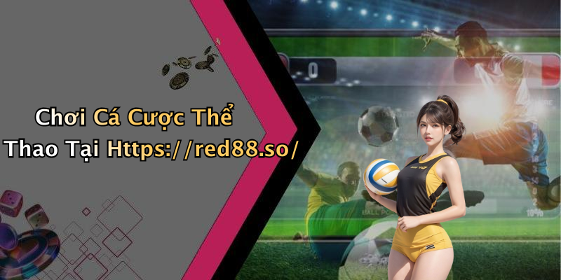 Chơi Cá Cược Thể Thao Tại Https://red88.so/